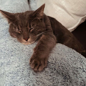 Meet your Posher, Gillian